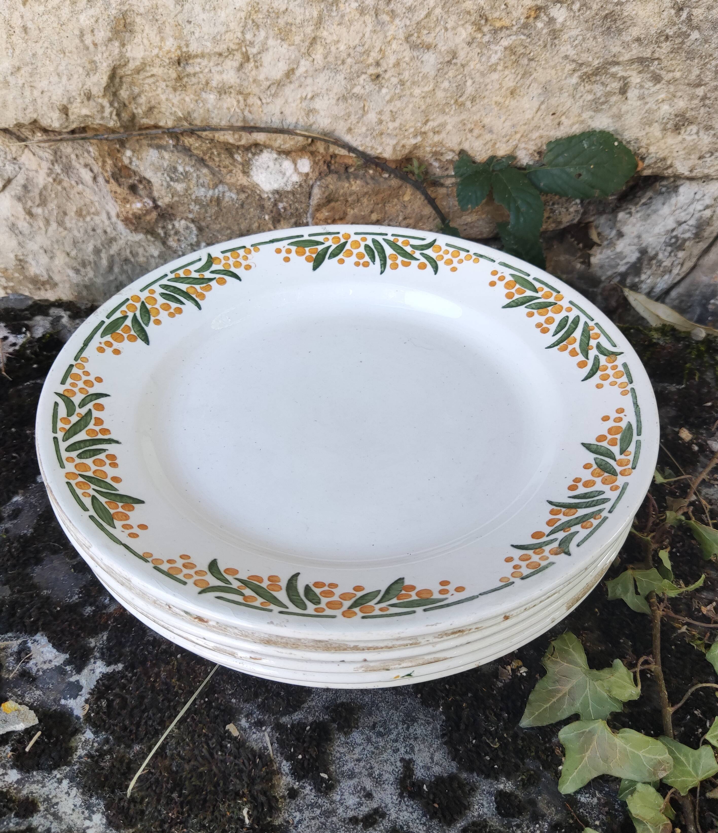 6 Mimosa HBCM dessert plates