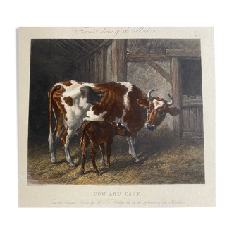 Gravure anglaise coloriée