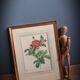 Litho Rosier Pont