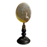 Cabinet of Curiosities shell haliotis laevigata pearl on base