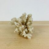 Corail