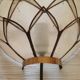 Paire d'appliques lotus
