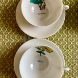 Porcelain service Limoges stamped, teapot and 4 cups with cups