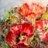 Poppies