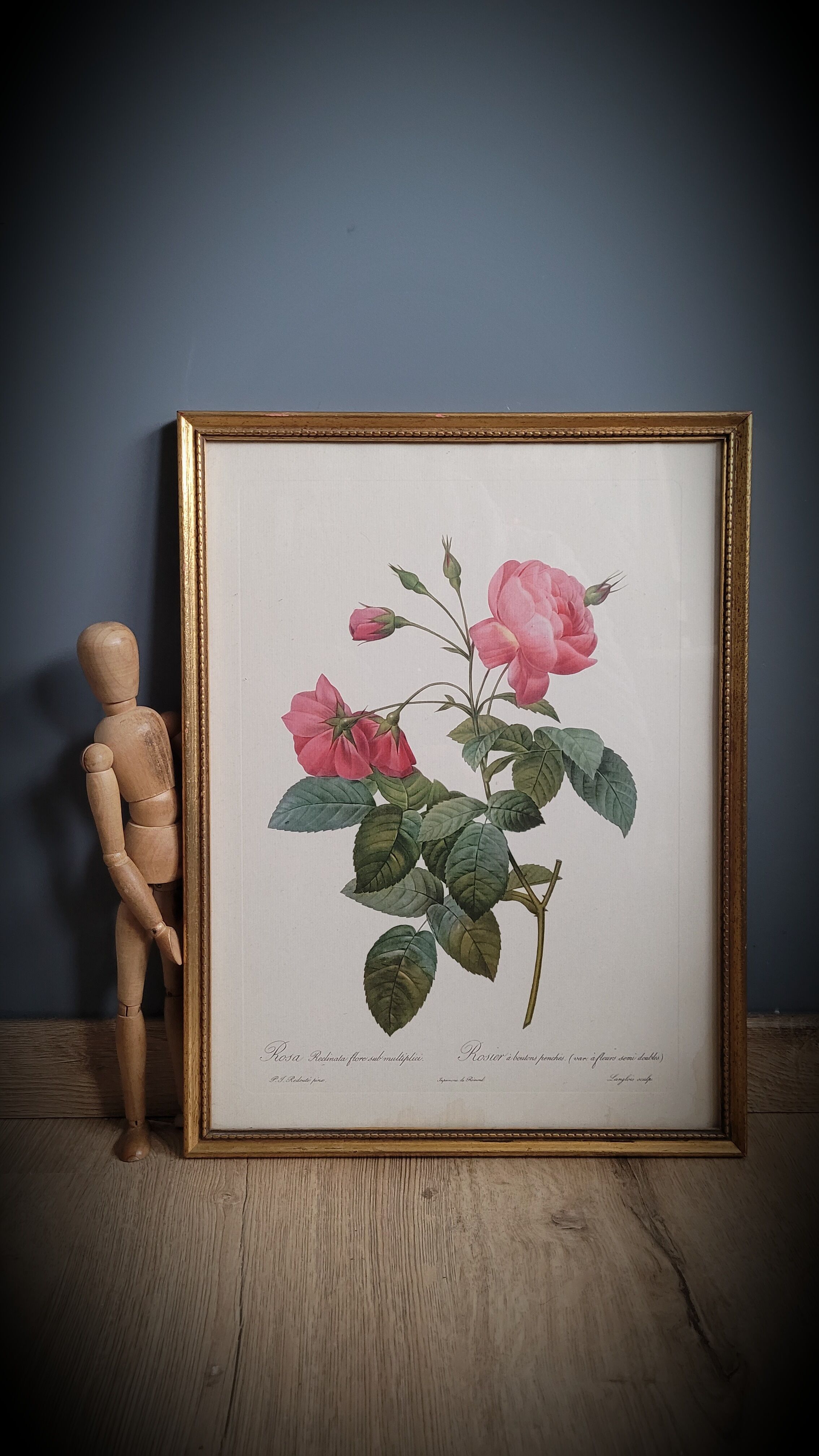 Lithograph frame rose semi double leaning buttons 43