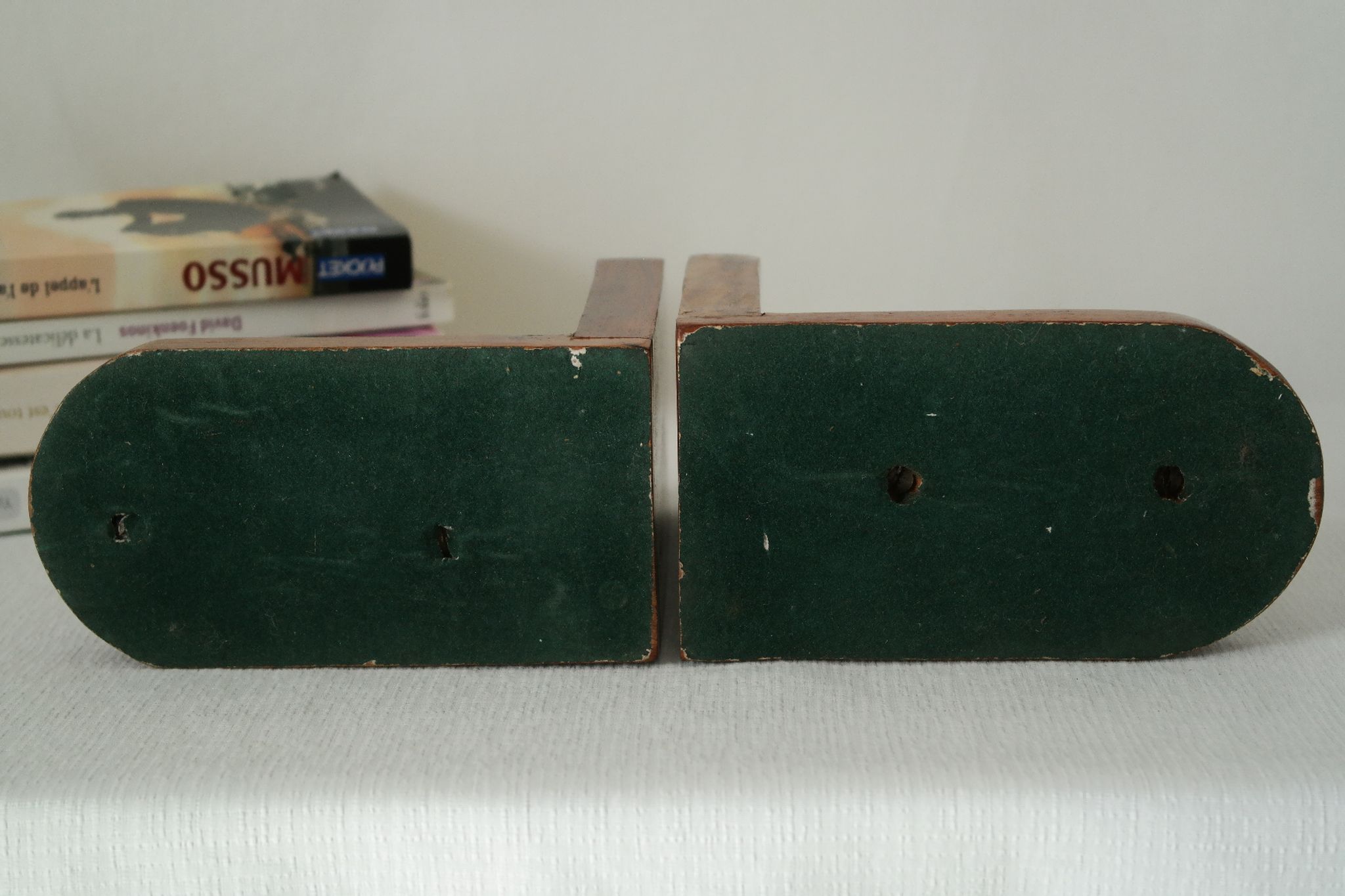 Pair of Greenhouse books vintage duck metal and mahogany