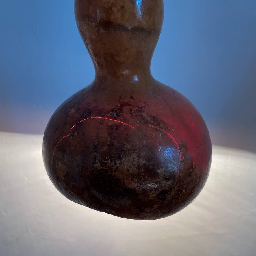 Calabash plant lamp
