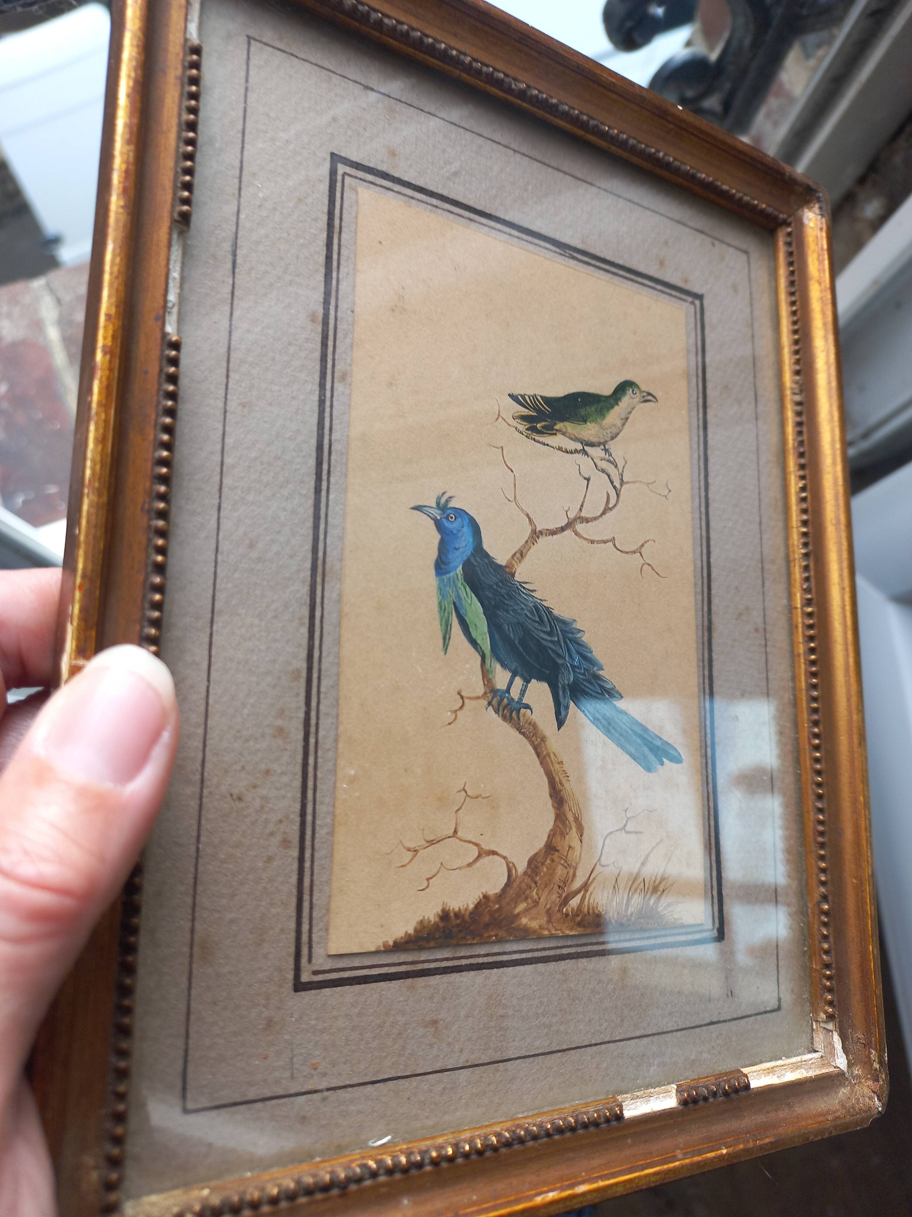 Golden table Blue birds Antique framed, Paris Gallery