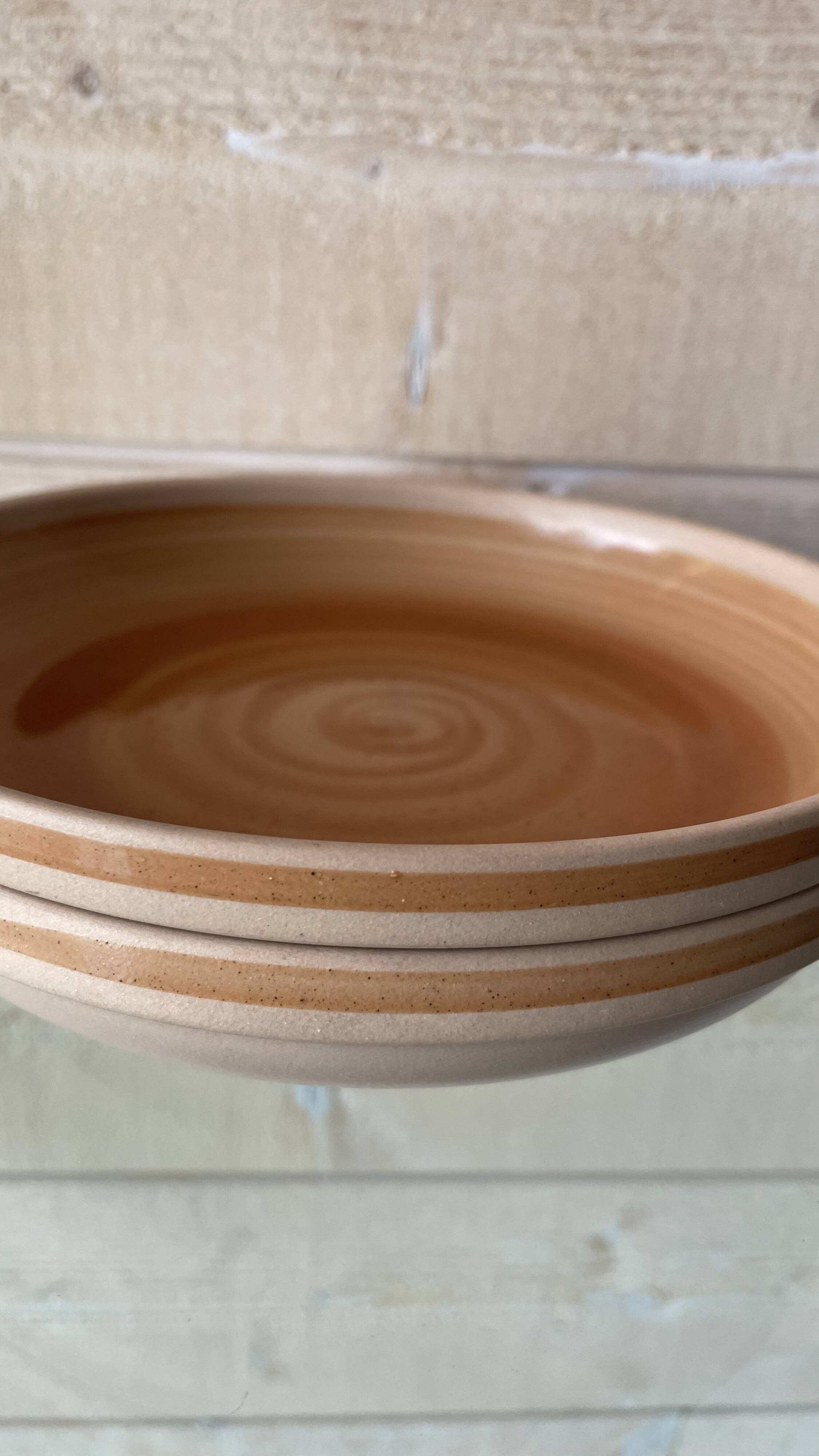 Set of 2 Sarreguemines stoneware soup plates