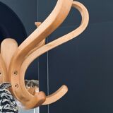 Baumann parrot coat holder