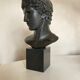 Athlete's head winner Greco Roman antiquities Louvre Museum
