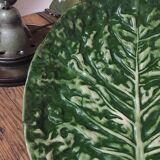 Large Cabbage Leaf Slush Dish