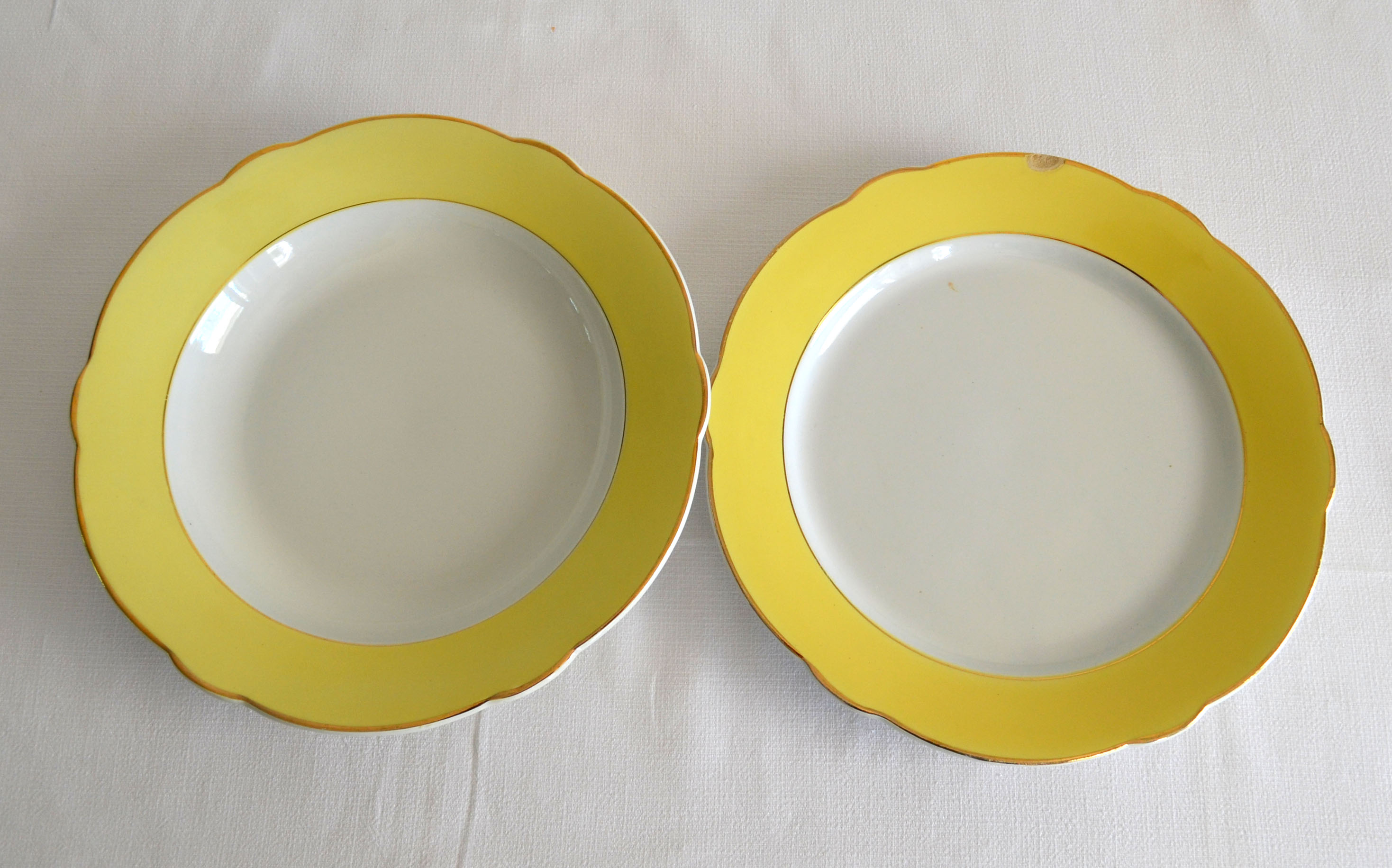 Dishes Lunéville model Daffodil