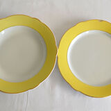 Dishes Lunéville model Daffodil