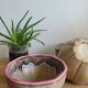 Trio Vallauris bowls in glazed stoneware