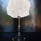 Cabinet of Curiosities 36cm coral brain of Neptune on base