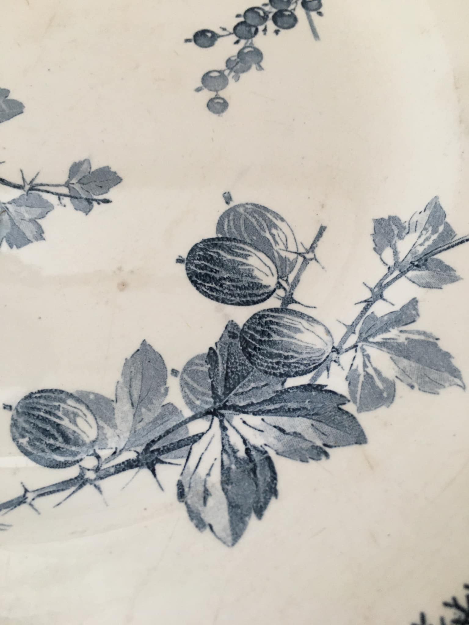 Faience serving dish stamped U & CIE - Sarreguemines, Gooseberry model