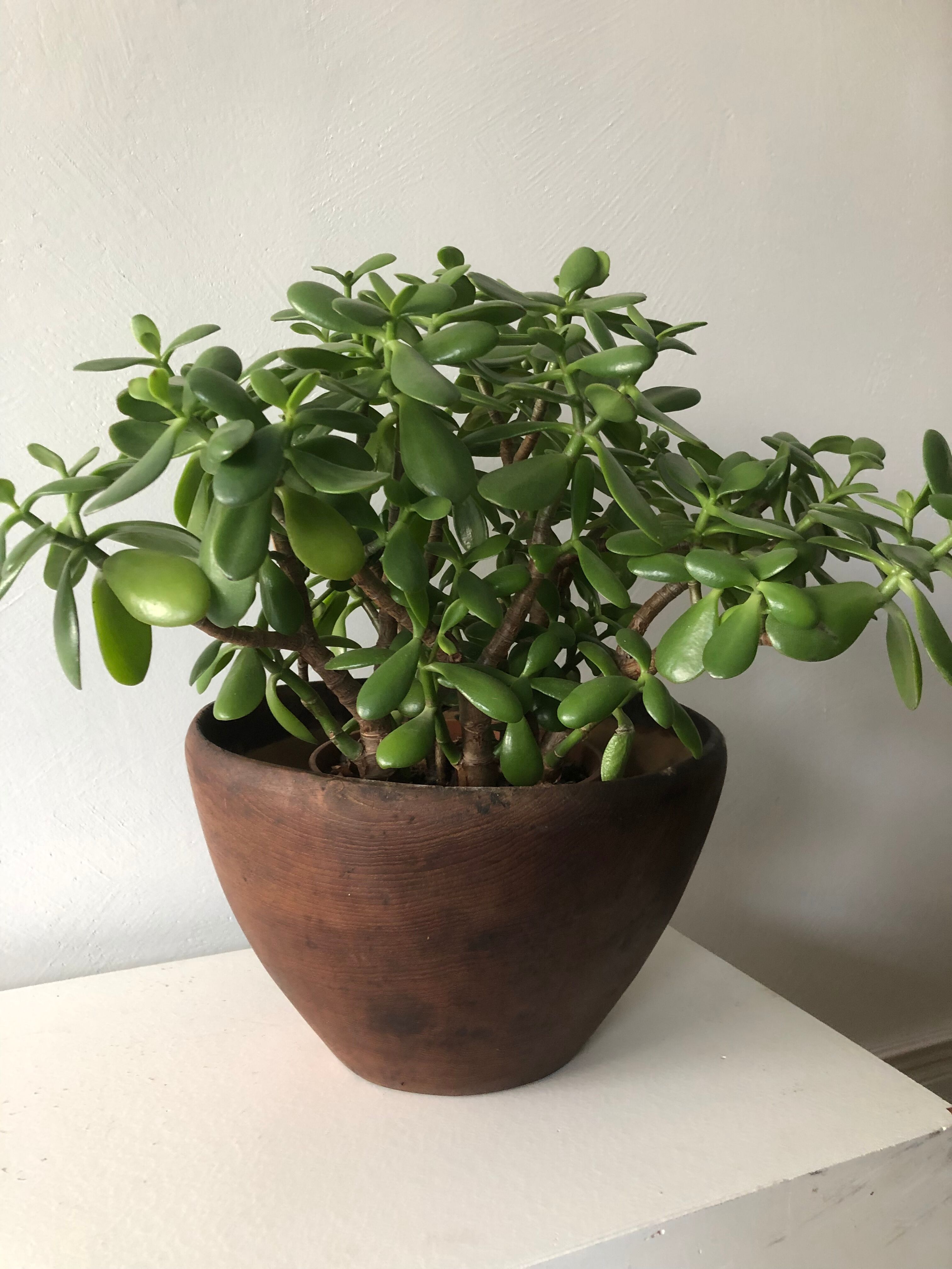Salad bowl in vintage teak