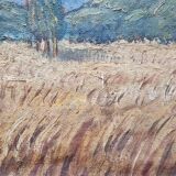 Wheat fields