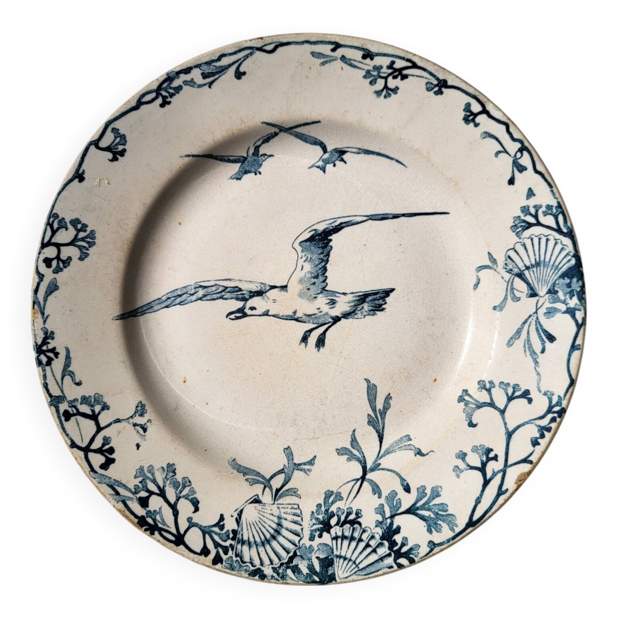Plate Earth & Sea Seagulls & Seashells