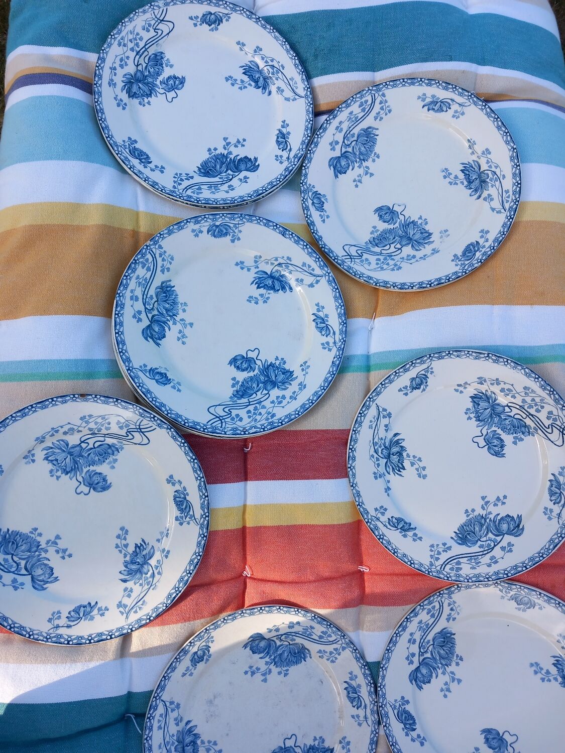 13 sarreguemines plates model royat