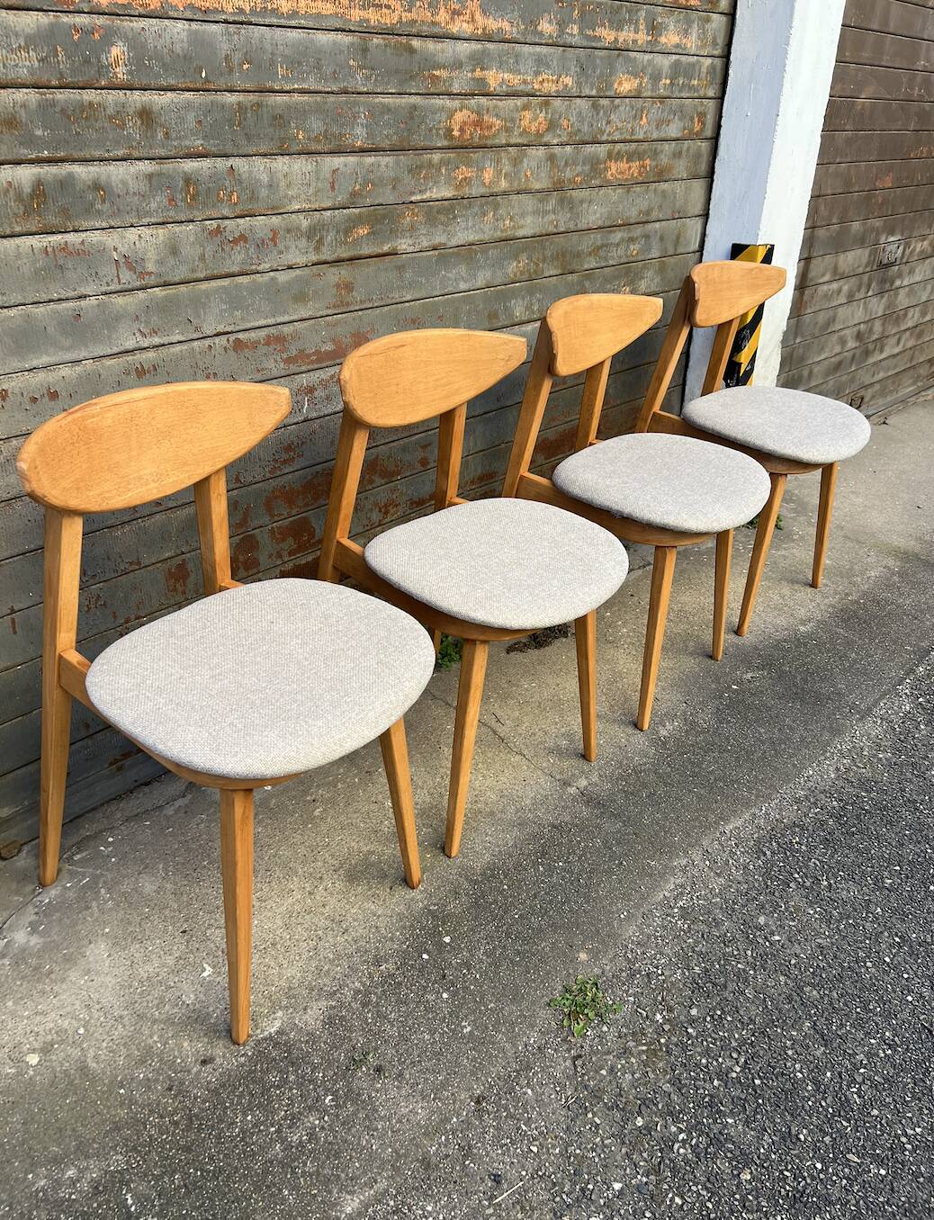 (Lot) 4 chaises Baumann Fontania (restaurées) 1960
