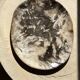 Very large empty pocket or dish in petrified wood
