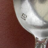 Set of 6 teaspoons in silver metal.
