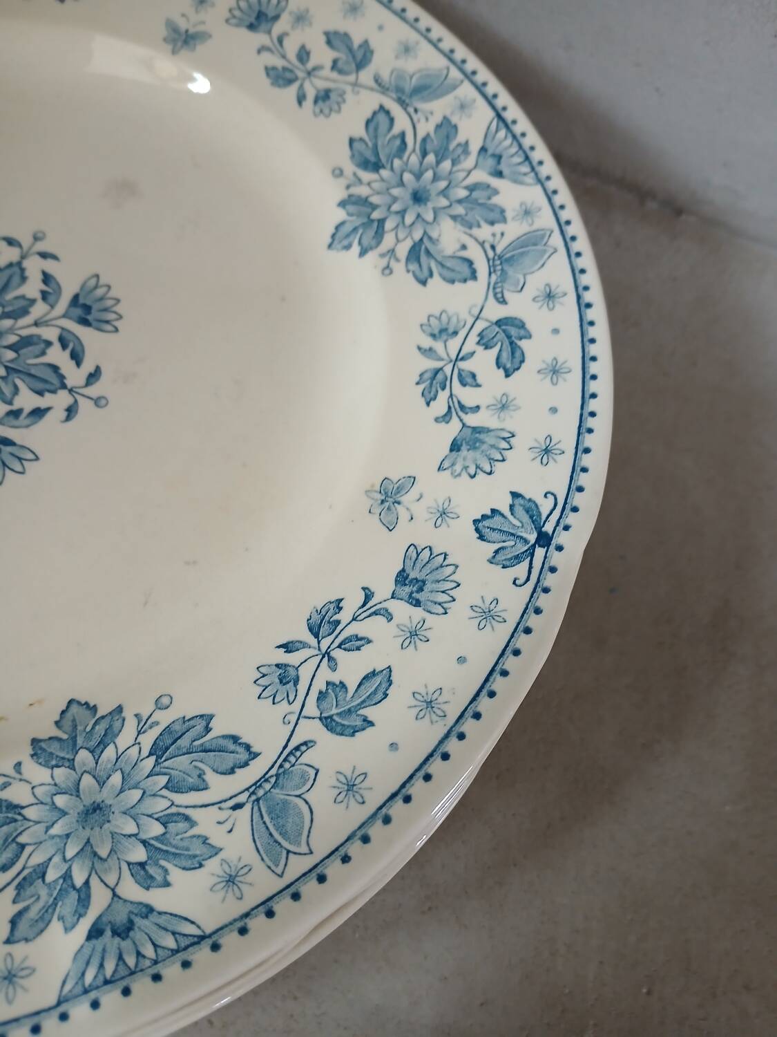 5 old flat plates in Sarreguemines ironstone