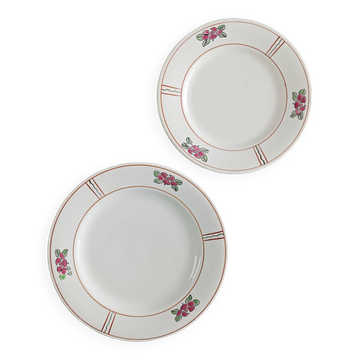 Set of 2 Salins flat plates, water lily