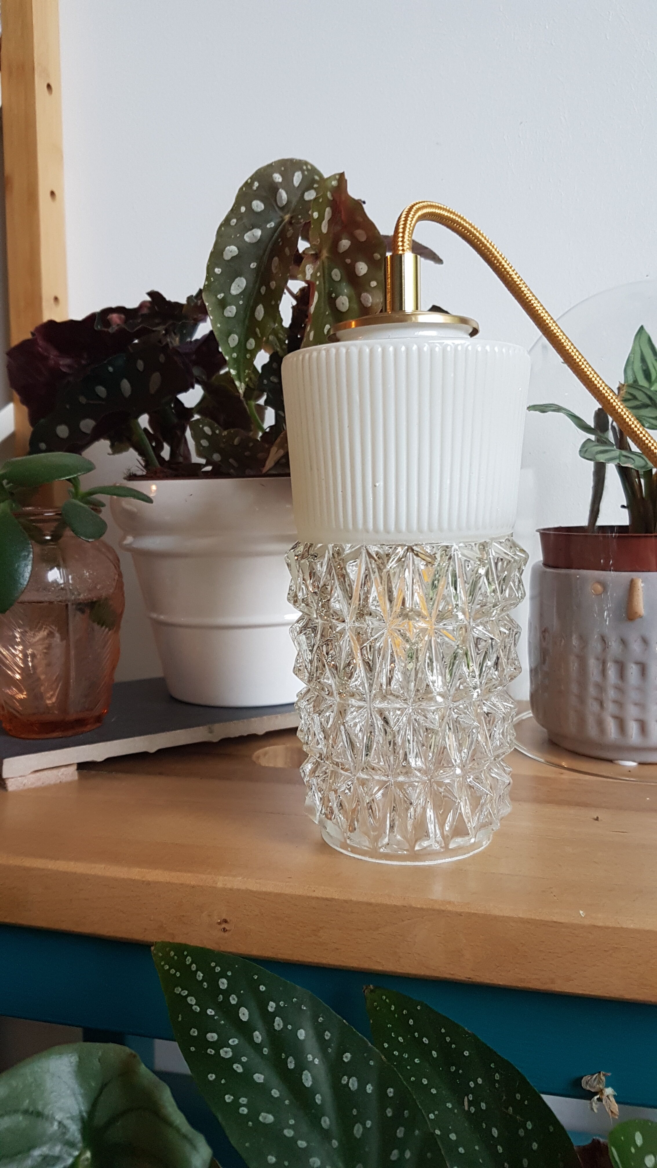 Vintage tulip hanging lamp