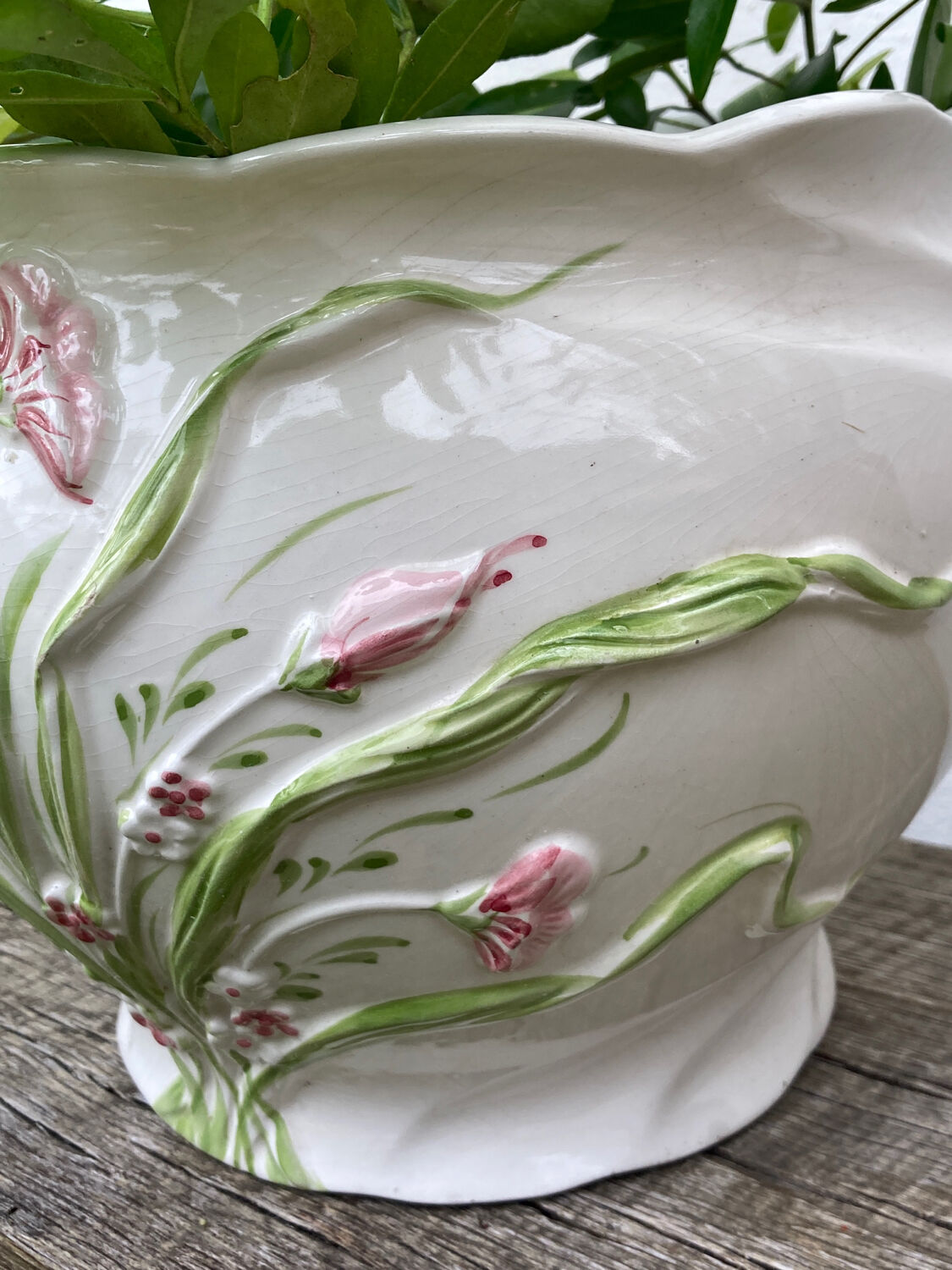 White ceramic pot cache of flower slip and old green foliage