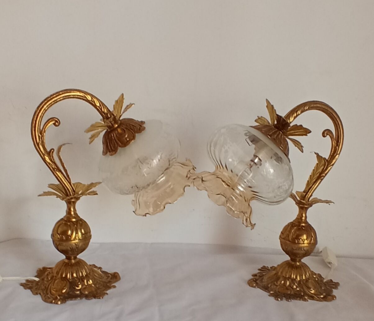 Pair of bronze gooseneck lamps