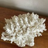 White coral bouquet