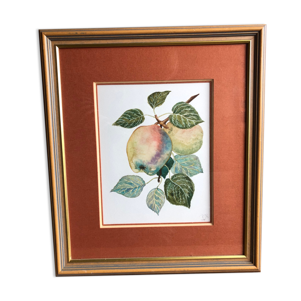 Ancienne lithographie botanique patricia kounakowitch — Beyit