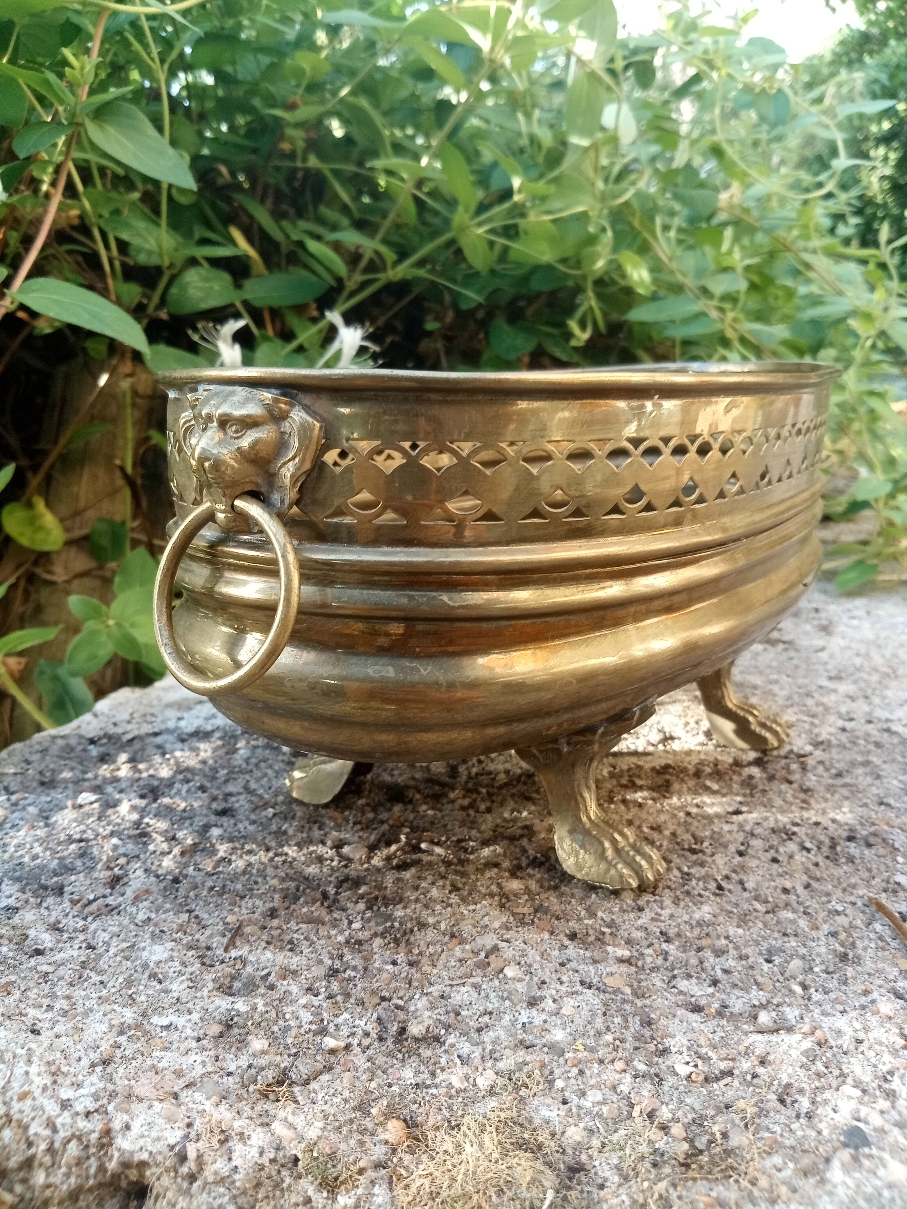 Large brass lion planter Art Nouveau