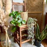 Stepladder library chair
