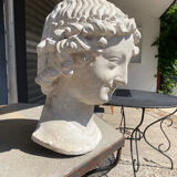 Plaster head