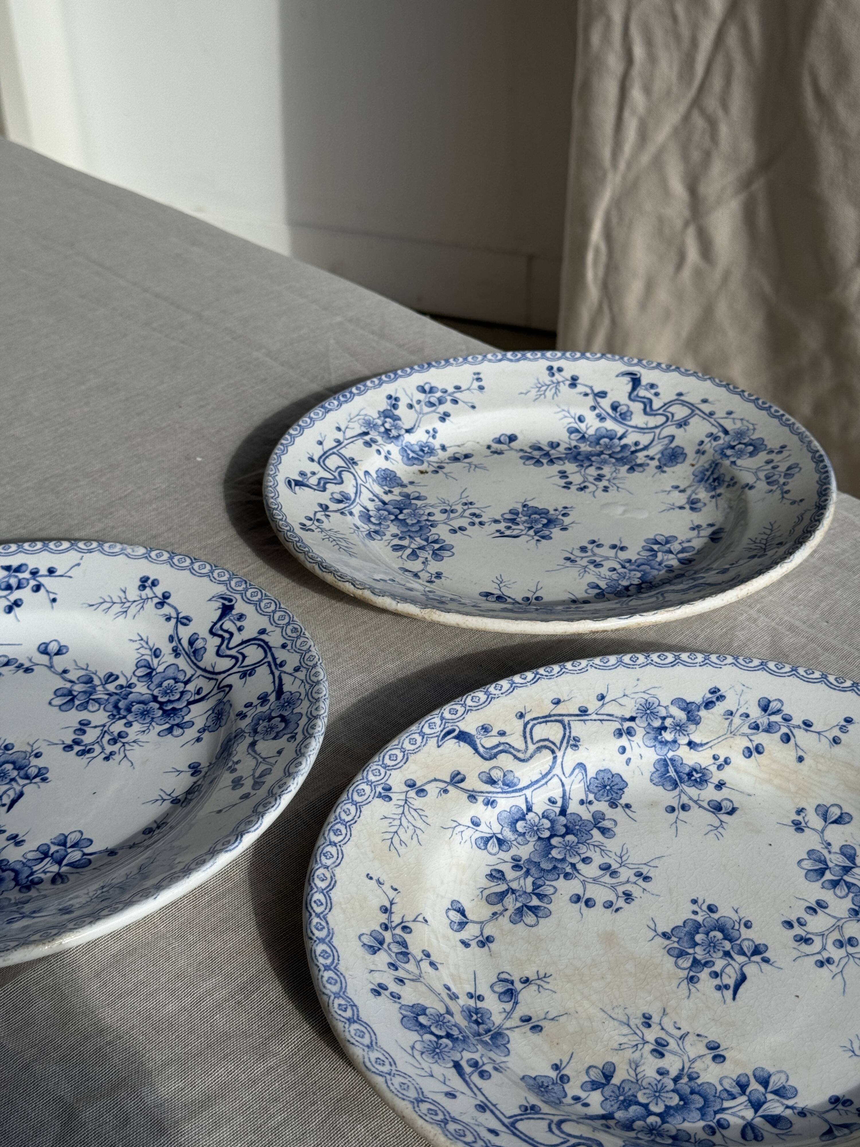 Set of 3 blue plates from Gien pottery, Fleurette model, D22.5.