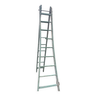 Double stepladder