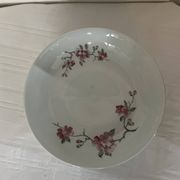 dinner plates