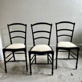 Reupholstered Napoleon III chairs