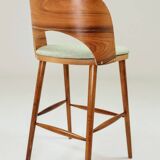 Brasil Apple Green Granola Palisander Bar Stool