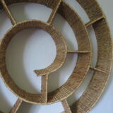 Round snail spiral shelf in sea rush