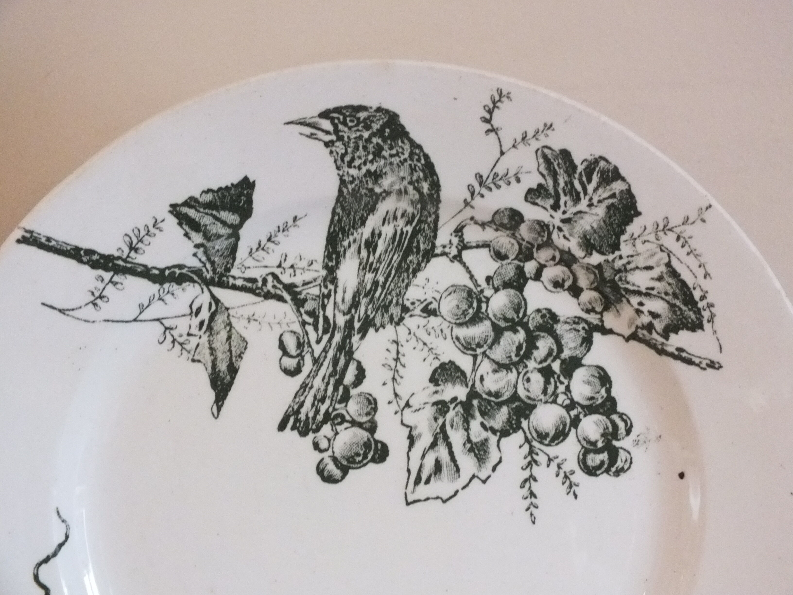 P.Luce Paris 5 Flat plates in Iron Earth bird décor