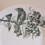 P.Luce Paris 5 Flat plates in Iron Earth bird décor
