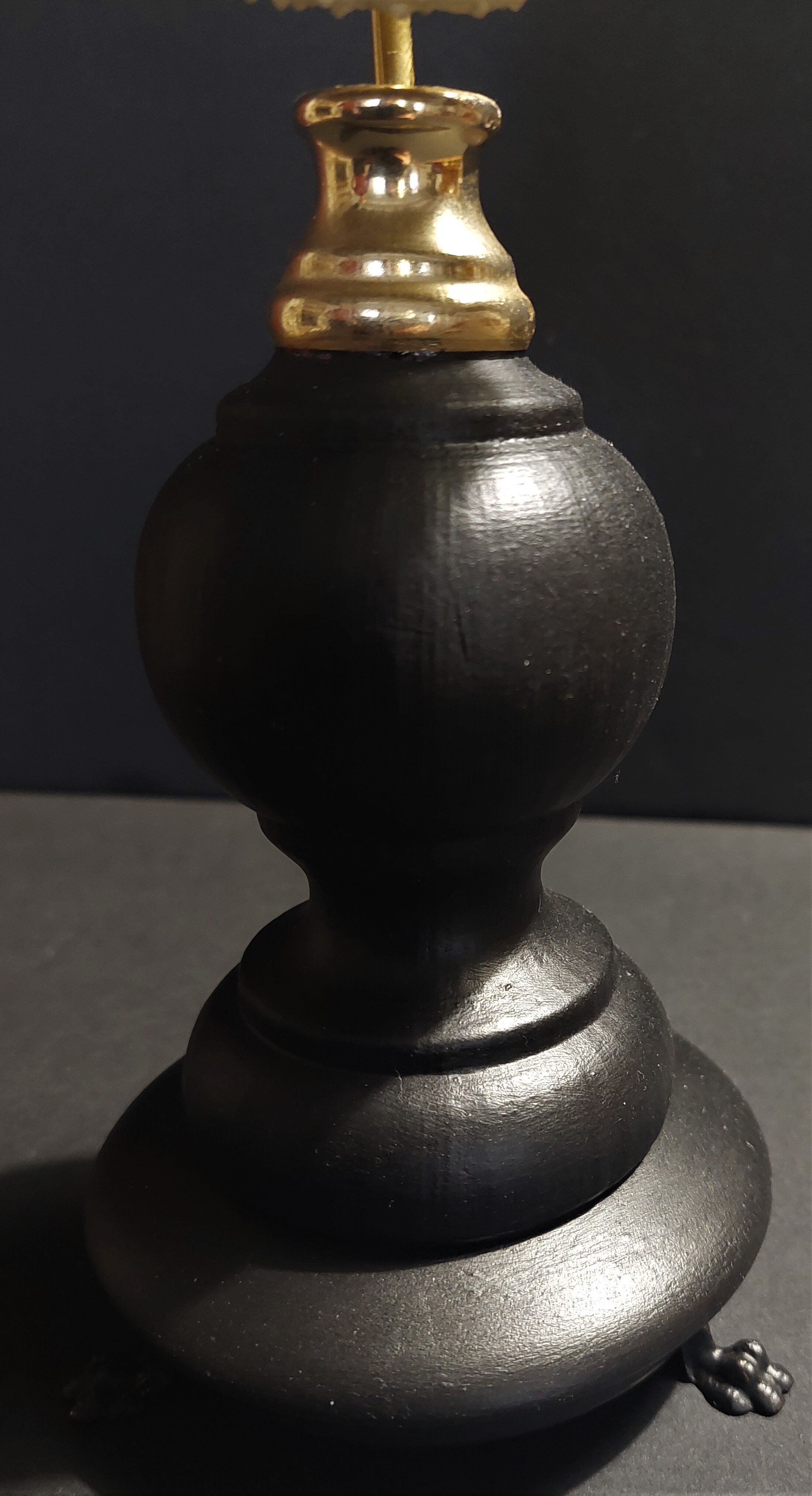 Cabinet de Curiosités oursin astropyga radiata sur socle