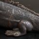 Lizard Studio Pottery from the 1960s