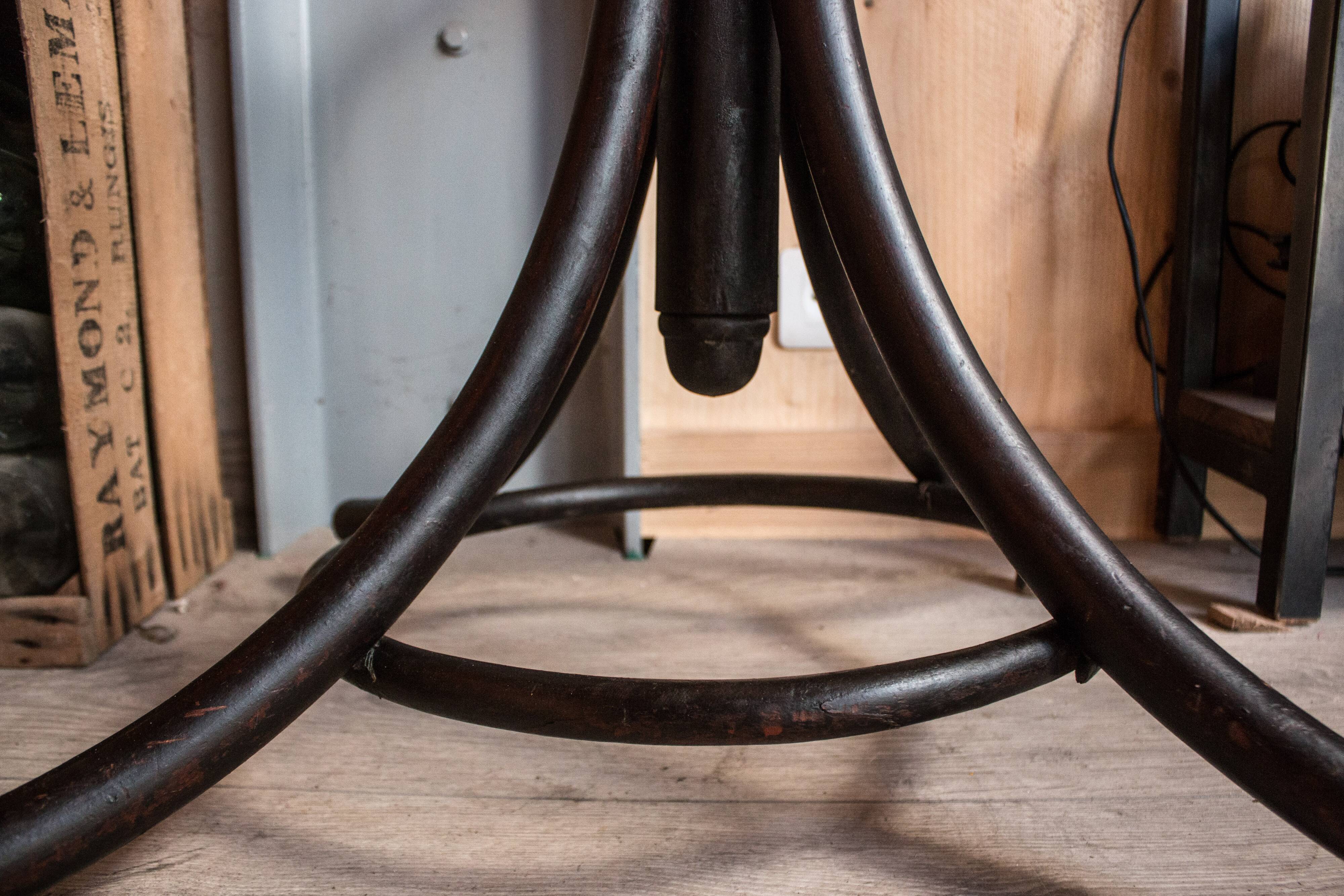 Parrot Thonet bentwood coatrack