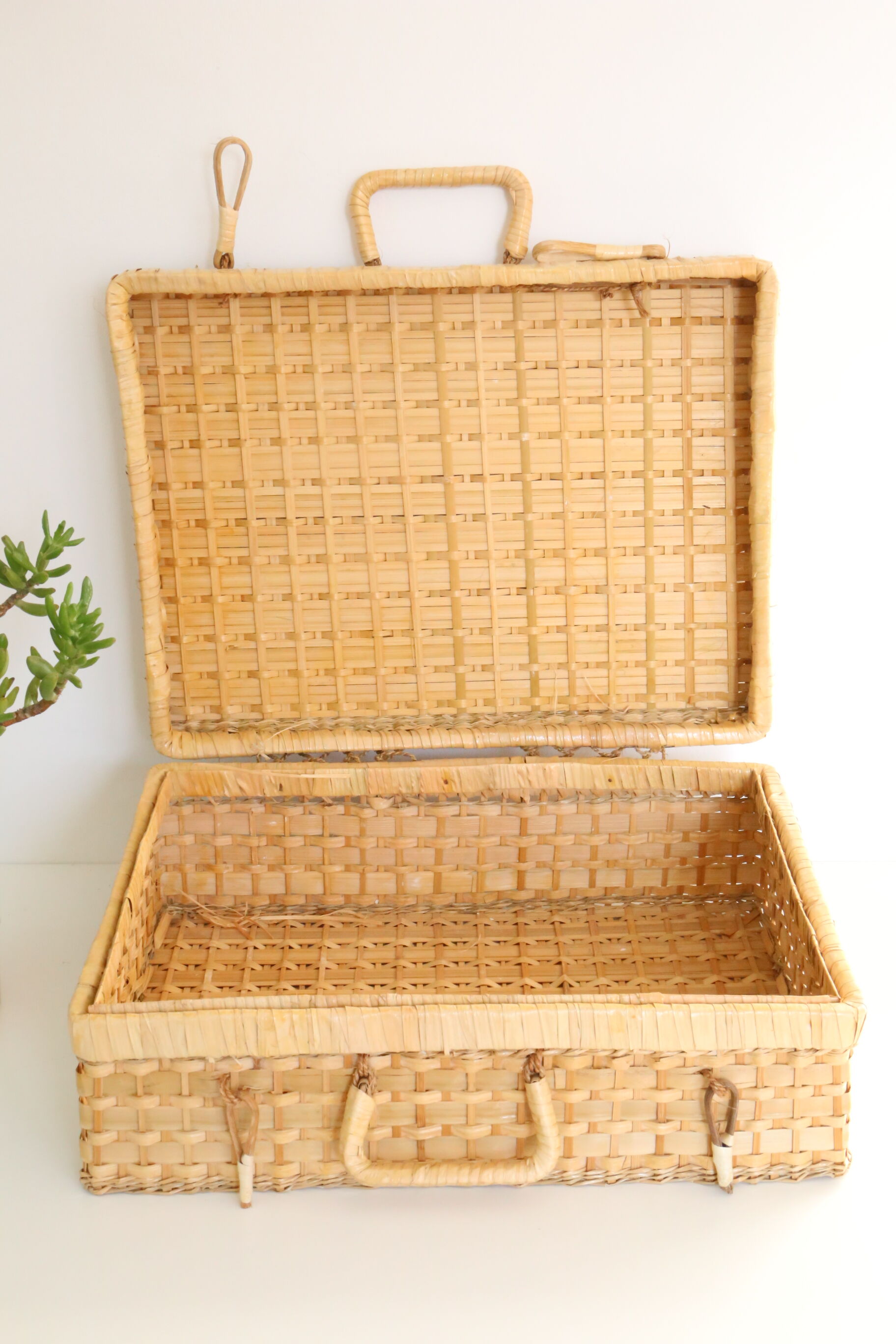Wicker valisette